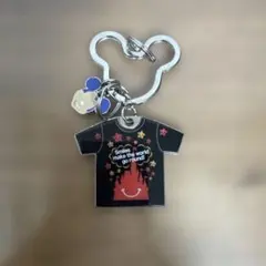 ディズニー キーホルダー ミッキー ドナルド