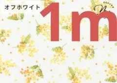 Item thumbnail for item 9fe3b865-008f-467b-bc4d-64d212cda1b3