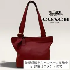 【貴重】 レア色 OLD COACH オールドコーチ ポーチ マルチ シボ革 2605-28｜美品｜コーチ オールド マルチポーチ レザー ダークブラウン