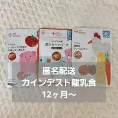 カインデスト離乳食 ベビーフード（12ヶ月頃～）3個セットと靴