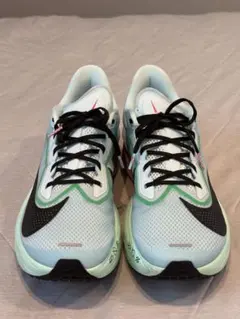 NIKE ZOOM FLY6 29cm