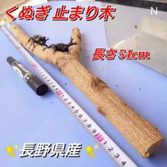 かえる様 リクエスト 2点 まとめ商品