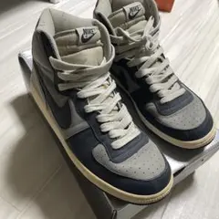 NIKE ナイキ　ターミネーター　ジョージタウン29.5センチ　激レアのサムネイル