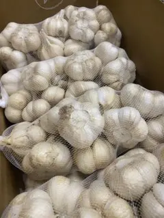 新物　青森県にんにく10Kg 2L.L加工おすすめのサムネイル