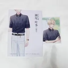 君に惑い、君に溺れる。 アリスNET SSペーパー メセカ 瀬尾叶多