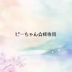 ＊ピーちゃん☆様専用☆