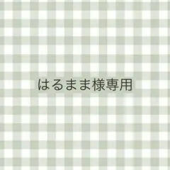 専用.*