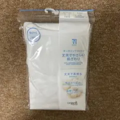 Item thumbnail for item d3594390-9eb0-4fc6-b463-d0613df7025e