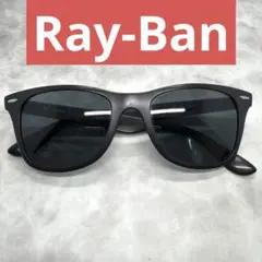 Ray-Ban レイバン LITEFORCE RB4195 度なし 偏光レンズ