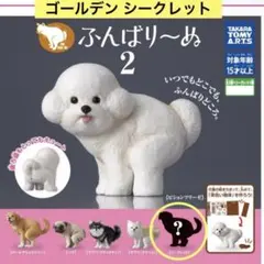 ふんばり〜ぬ 2 ゴールデンシークレット