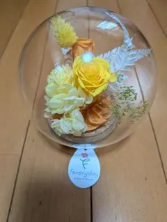 Feveryday プリザーブドフラワー ガラスドーム