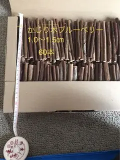 Item thumbnail for item 70587afb-29e6-4b5b-9775-e9451e4aeabd