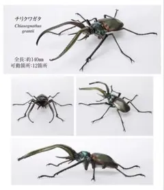 ★新品未開封！バンダイ いきもの大図鑑 くわがた08 チリクワガタ