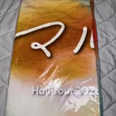 マルシィ HairTour 2026 タオル
