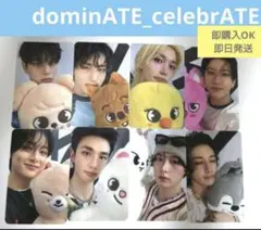 straykids スキズ ポップアップ 購入特典トレカ コンプ　11