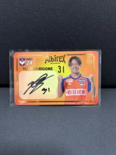 2025年最新】アルビレックス新潟 サインの人気アイテム - メルカリ