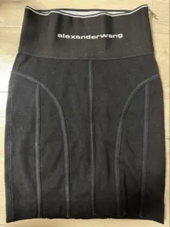 2025年最新】Alexander Wang ミニスカートの人気アイテム - メルカリ