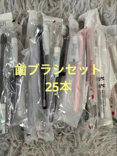 使い捨て（旅行用）歯みがきセット ホテルアメニティ