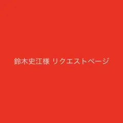 鈴木史江様 リクエスト 3点 まとめ商品