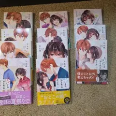 恋する(おとめの)作り方 全11巻セット