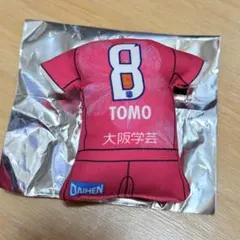 セレッソ大阪 ヤンマーレディース クッション キーホルダー