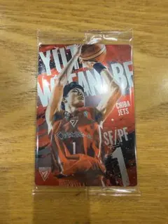 ビーリーグ ウエハース 2024-25 渡邉雄太選手