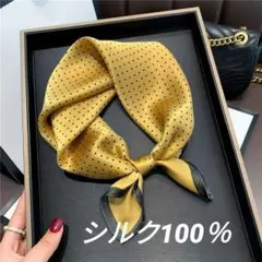 Item thumbnail for item 36053eb0-8ee0-4539-bcf2-cadc21f19f3b