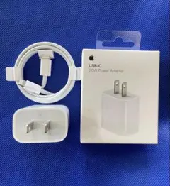 Apple iPhone 순정 급속 충전기 20W와 USB-C 번개 케이블