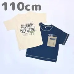 子供服 110cm 男の子 半袖Tシャツ まとめ売り 恐竜 新品 TSN27