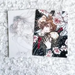 ヴァンパイア騎士 初回限定盤 特典 ポストカード イラストカード 8枚