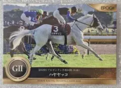 ホースレーシング　99ハヤヤッコ　2024下半期総集編