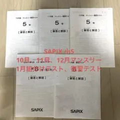 2026年最新】sapix 組分けテスト 新5年の人気アイテム - メルカリ