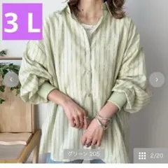 しまむらmayoストライプシャツグリーン3Lサイズ