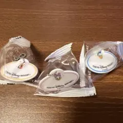 ディズニー　ネームタグ　キーチェーン