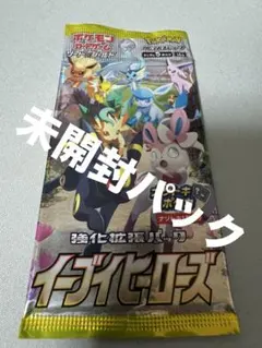 r*o様 イーブイヒーローズ 未開封パック