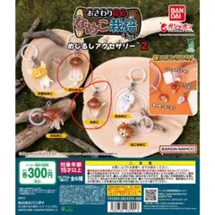なめこ　めじるしアクセサリー2　長なめこ,なめこ