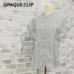 オペークドットクリップ ストライプ ブラウス フレンチスリーブ M C220