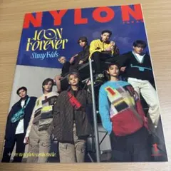 NYLON JAPAN 1月号 Stray Kids特集　スキズトレカ付き