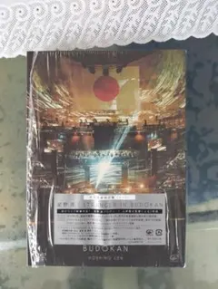 星野　源　STRANGER IN BUDOKAN (初回限定盤) [DVD]