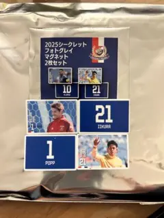 マリノス　マリガチャ　フォトグレイマグネット 2枚セット