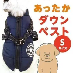 Item thumbnail for item 8d0c2978-84e2-48b2-8079-11032fd8dfe1