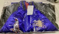 Item thumbnail for item 82a2e6ee-0239-4aa7-b1e4-35c8e4d6e7e2