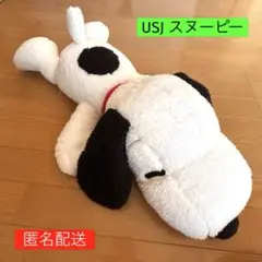 【人気アイテム】スヌーピー　寝そべり　はいはい　BIGぬいぐるみ　USJ