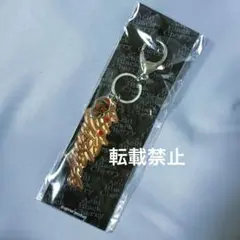 Acid Black Cherry キーホルダー マグカップ 等 グッズ6点 Acid Black Cherry キーホルダー マグカップ 等 グッズ6点 - メルカリ