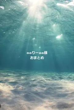 ๑๑りー๑๑様おまとめ