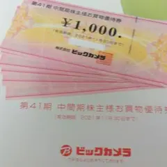 おまけ付き ビックカメラ 株主優待券 10000円分