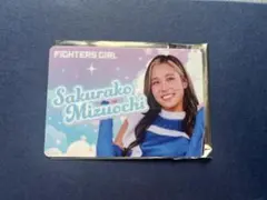ファイターズガール 応援グッズ
