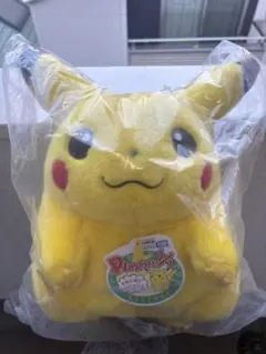 新品、ポケモン30周年記念おかえり!ピカチュウ1/1