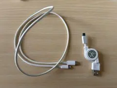 USB-C to Lightning 充電ケーブル