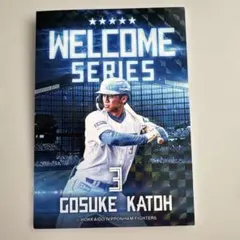 Item thumbnail for item 4cbf9edc-fbde-4835-8096-5c55ccad12fc